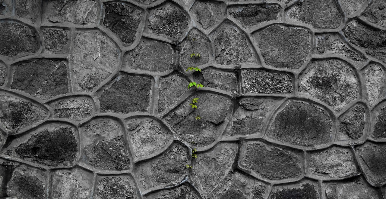 Image - wall texture black and white vine