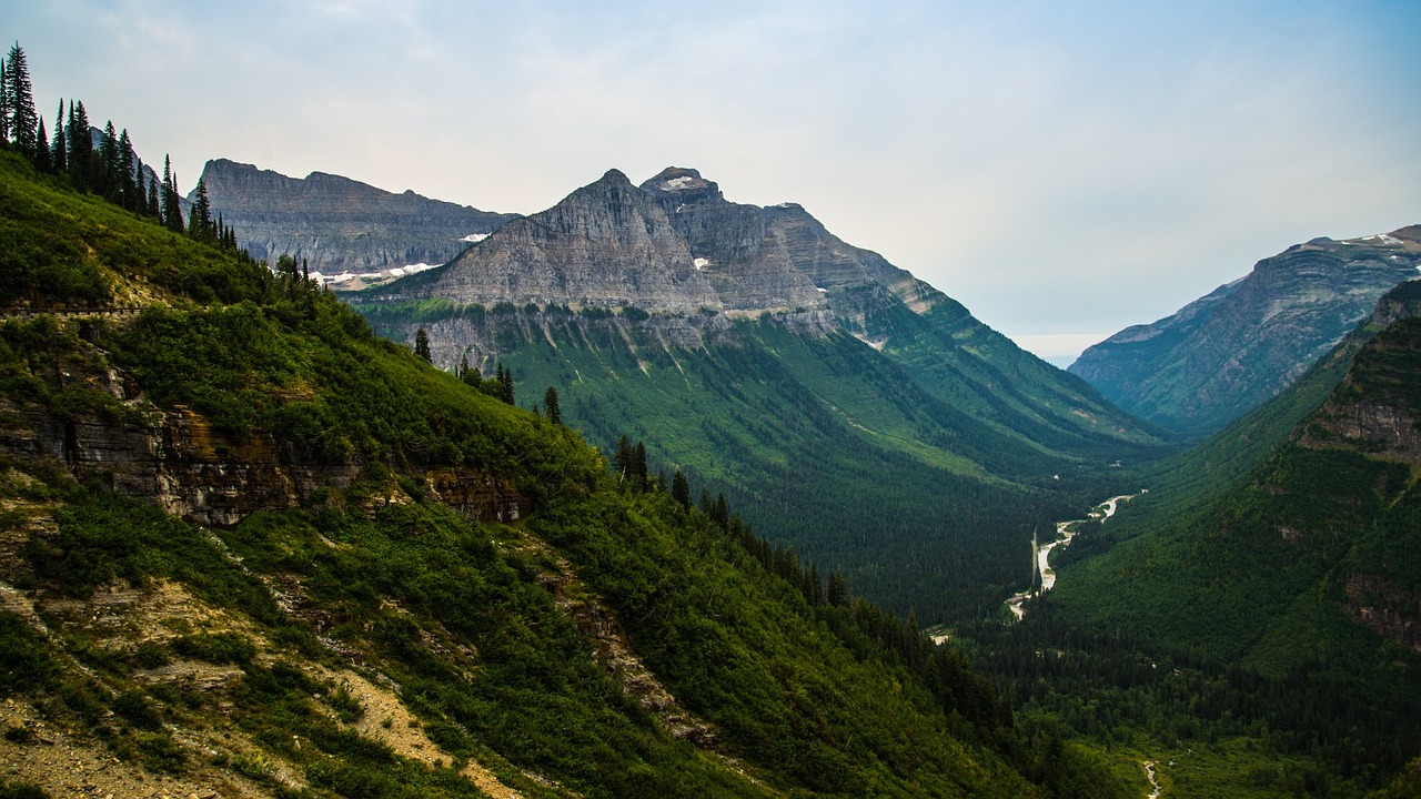 Image - green trees plant path mountain