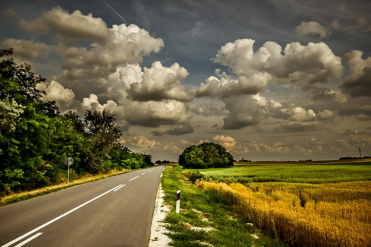 Image - road green grass agriculture field