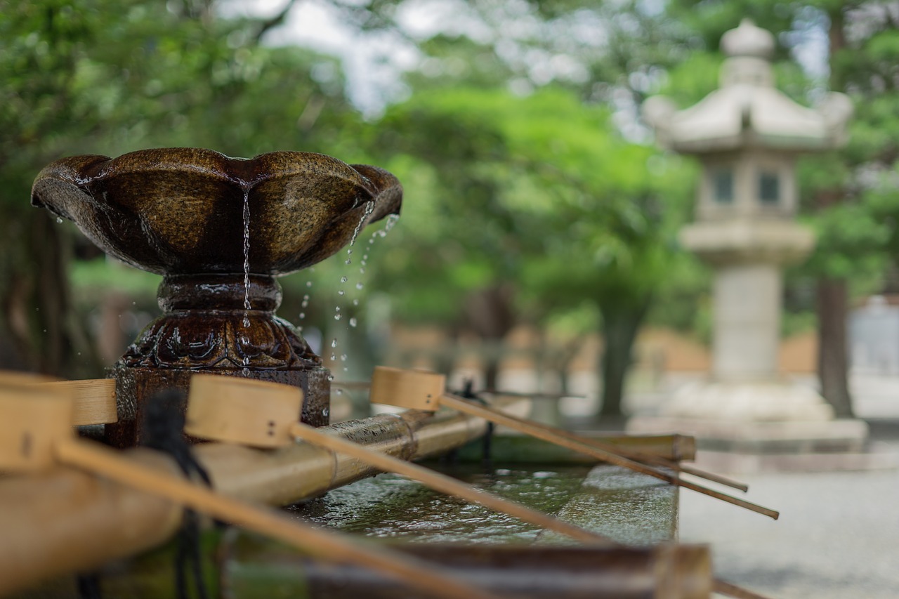 Image - water fountain tree plant blur