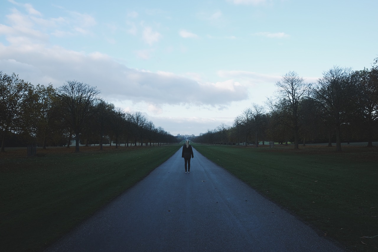 Image - green grass lawn dark road path