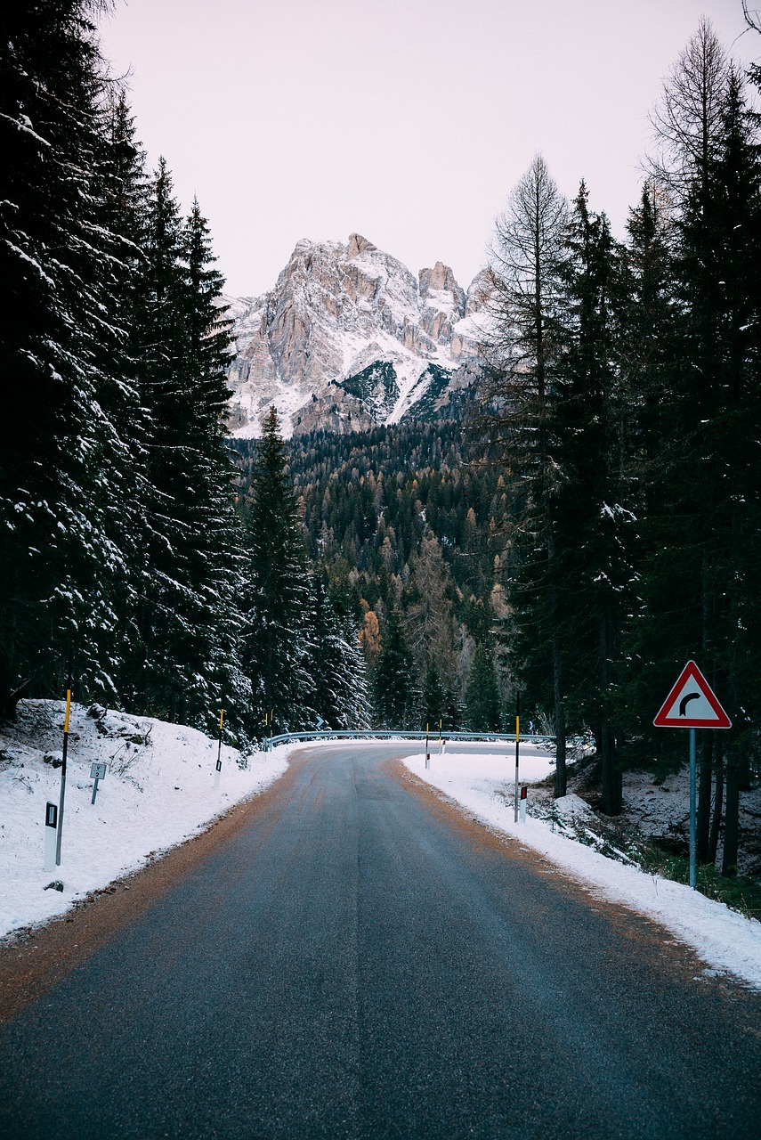 Image - road sign trees plants nature
