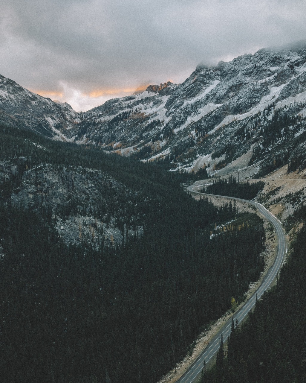 Image - mountain valley trees plant forest