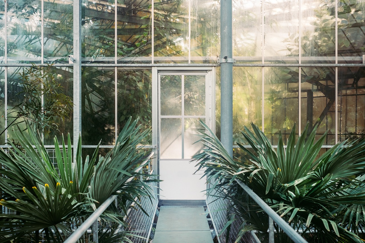 Image - green plant building glass path