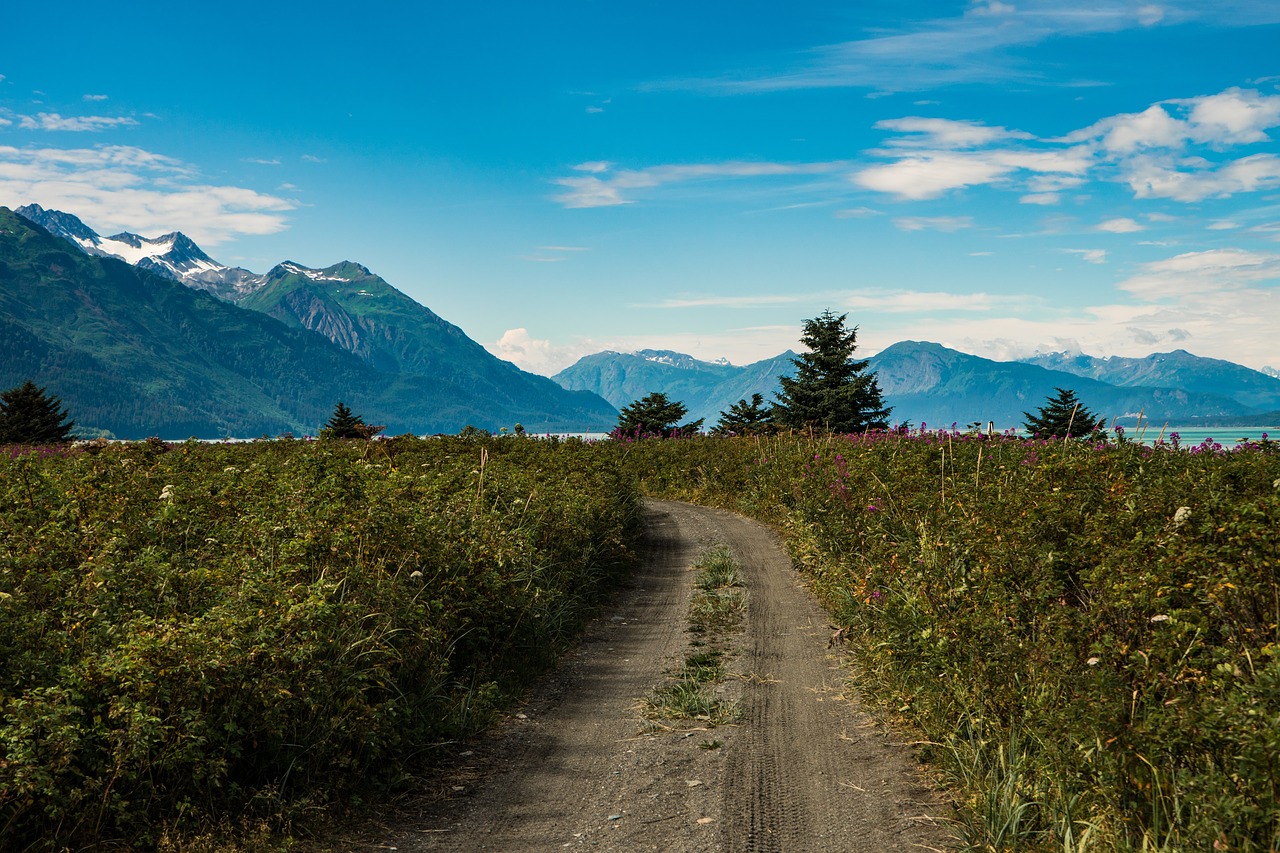 Image - road path green grass field