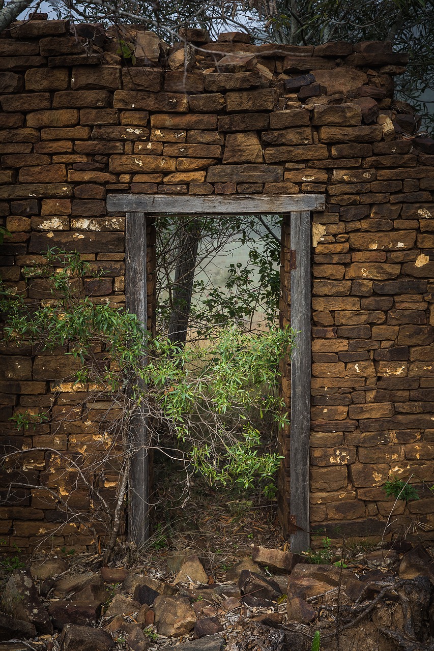 Image - ruins green plant nature outdoor