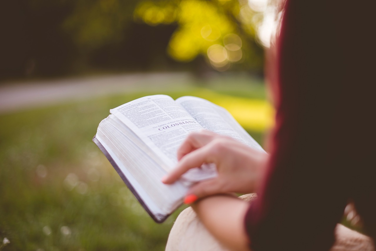 Image - people girl sitting reading book