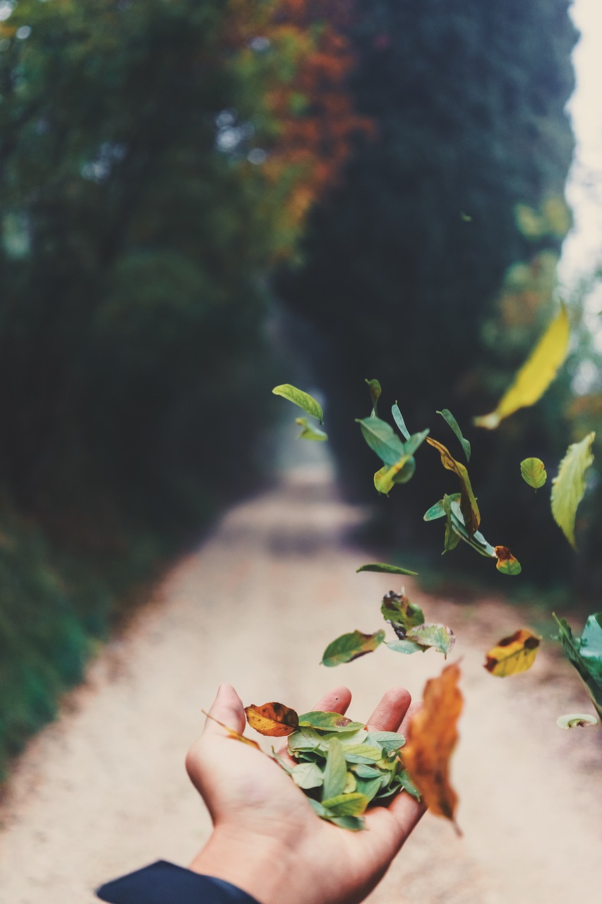 Image - hand palm leaf plant blur road