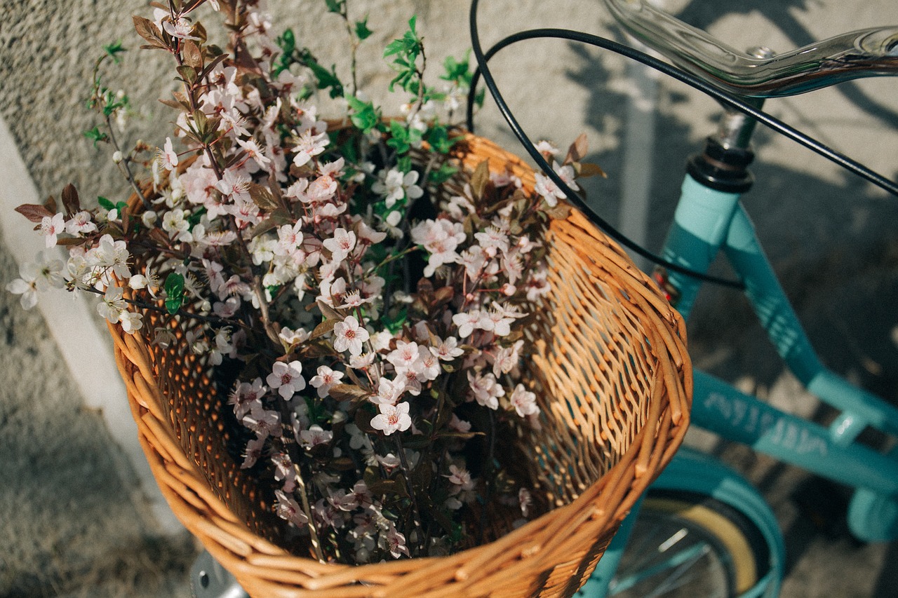 Image - basket bike bicycle flower bunch