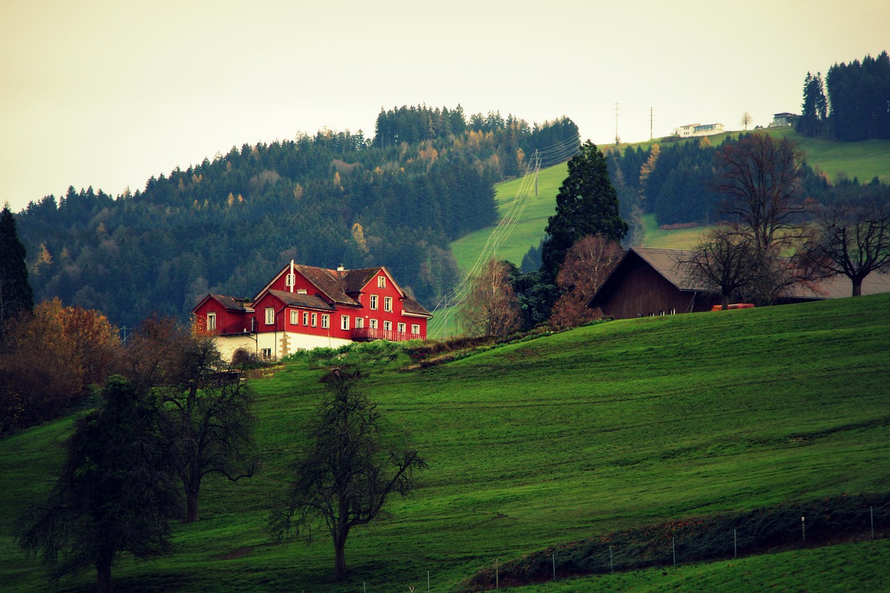 Image - highland green grass house tree