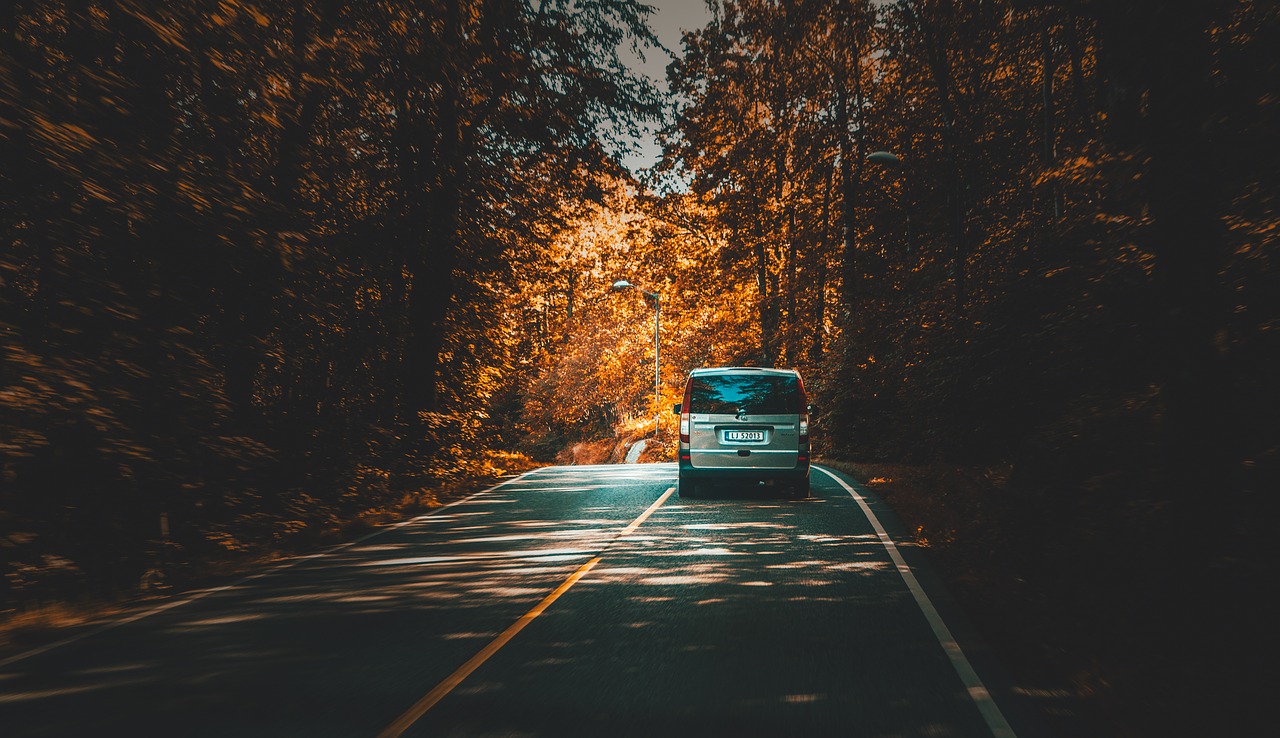 Image - road path car vehicle trees plant