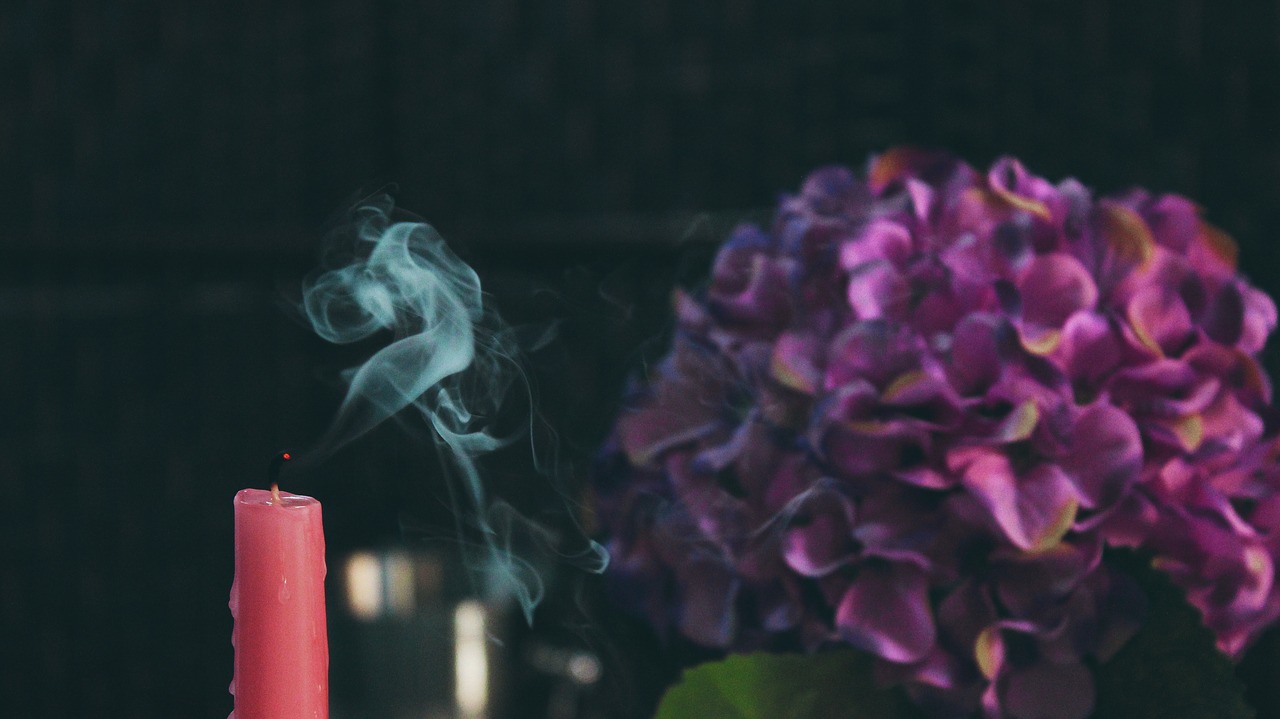 Image - pink candle violet flower blur