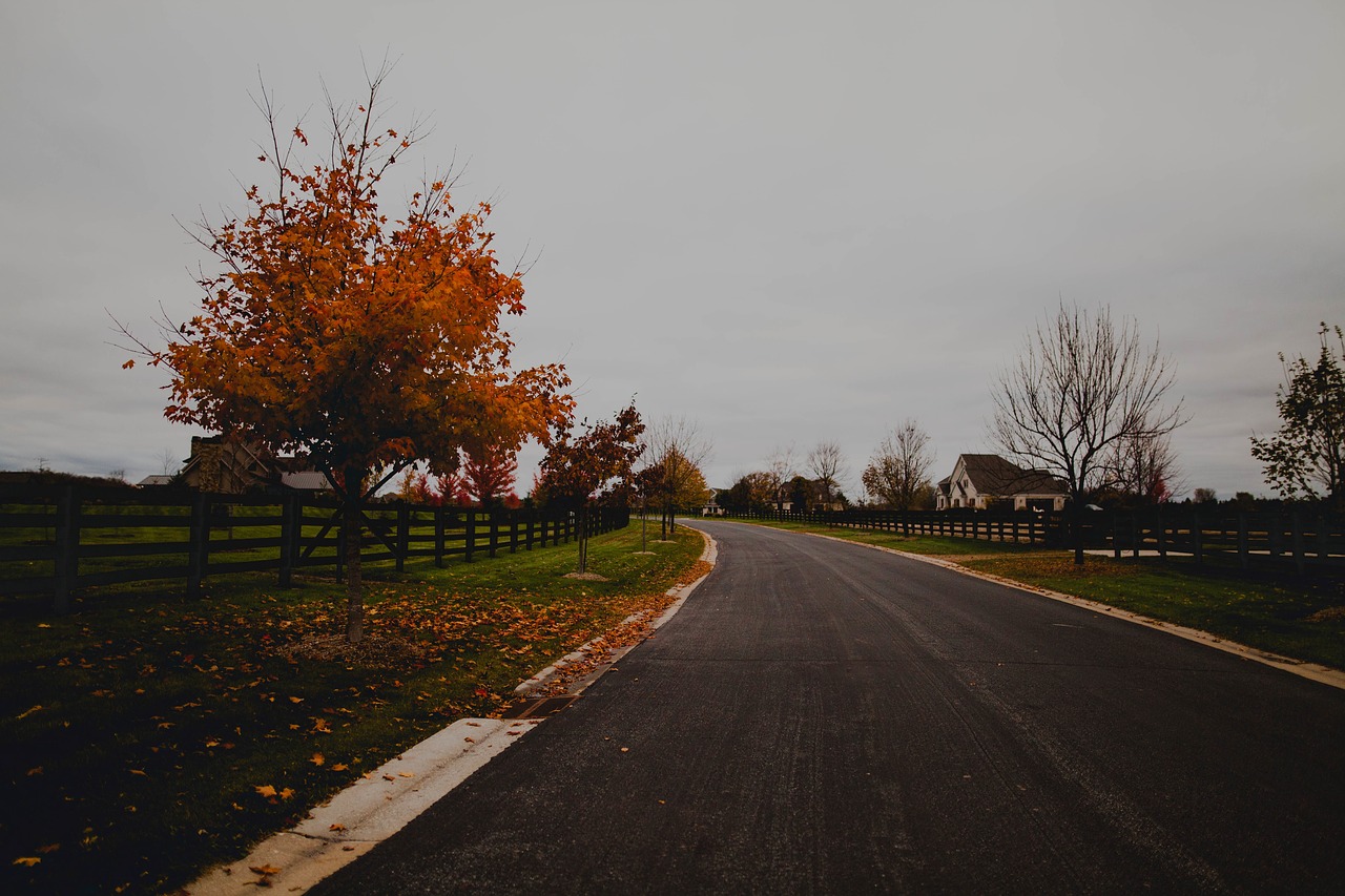 Image - road path fence green grass