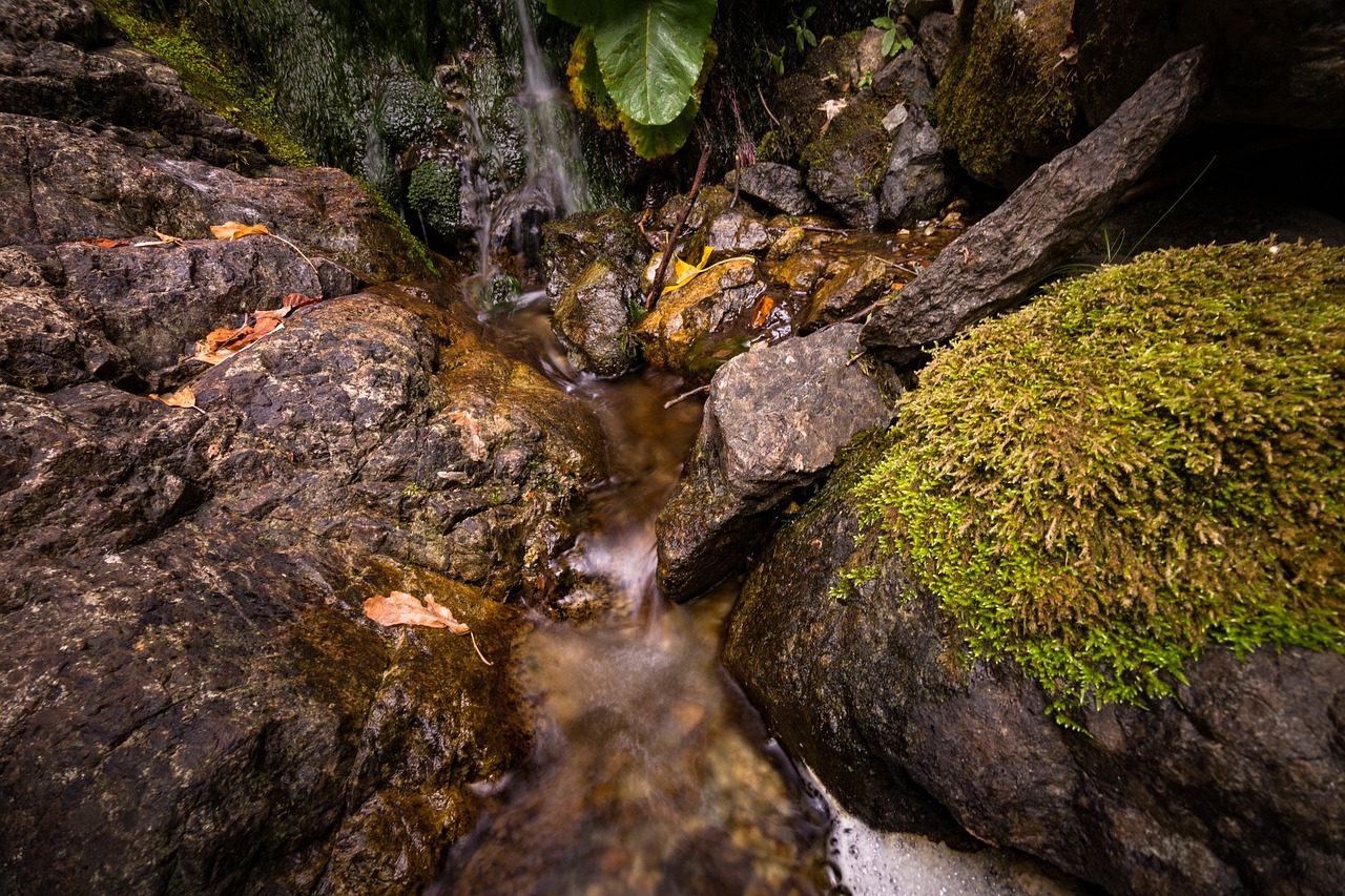 Image - stream water green moss leaf fall