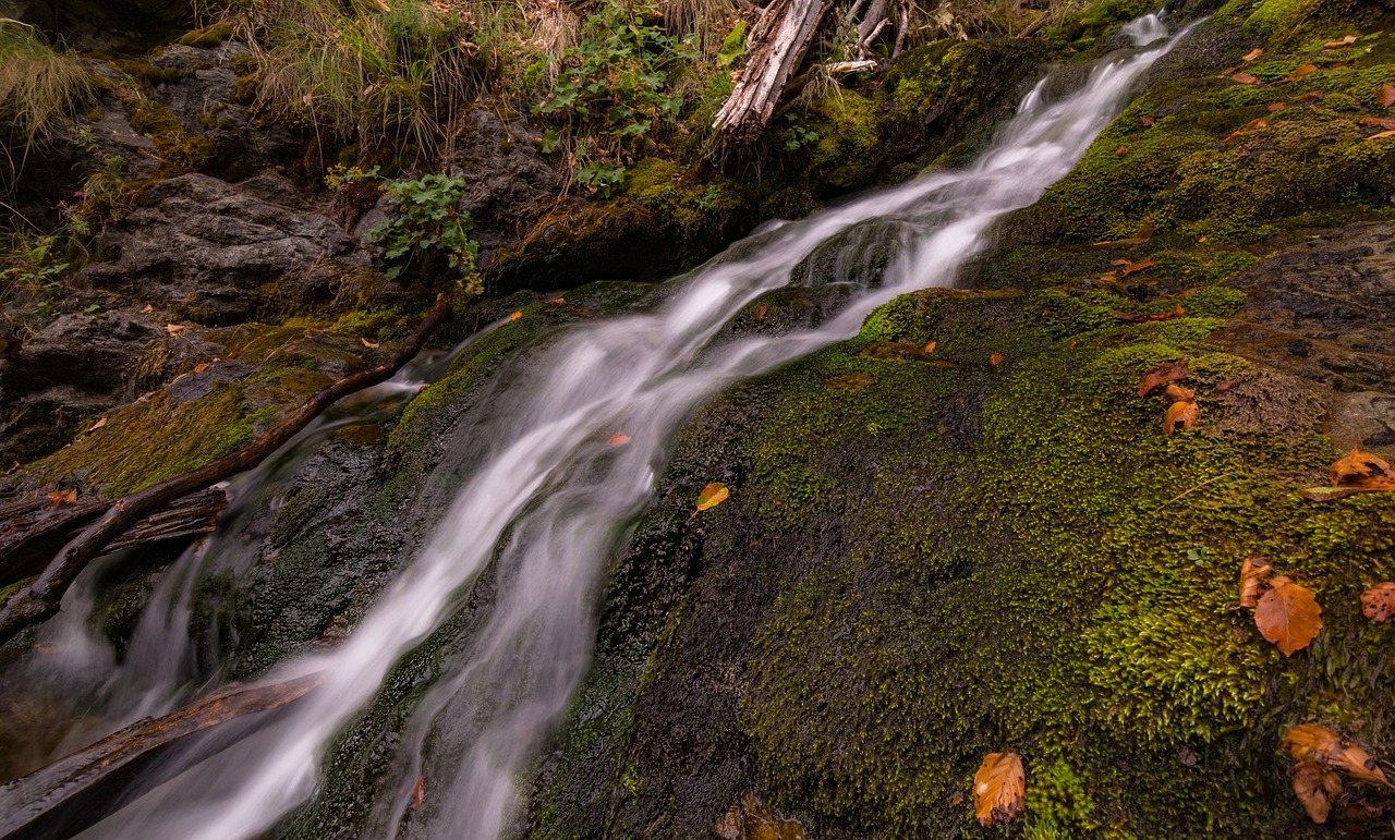 Image - stream water green moss leaf fall