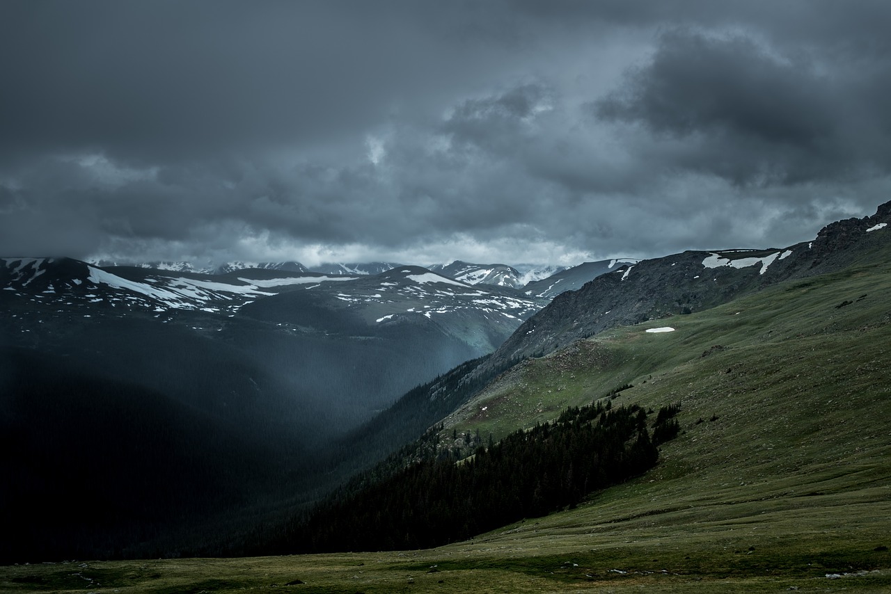 Image - highland mountain dark trees plant