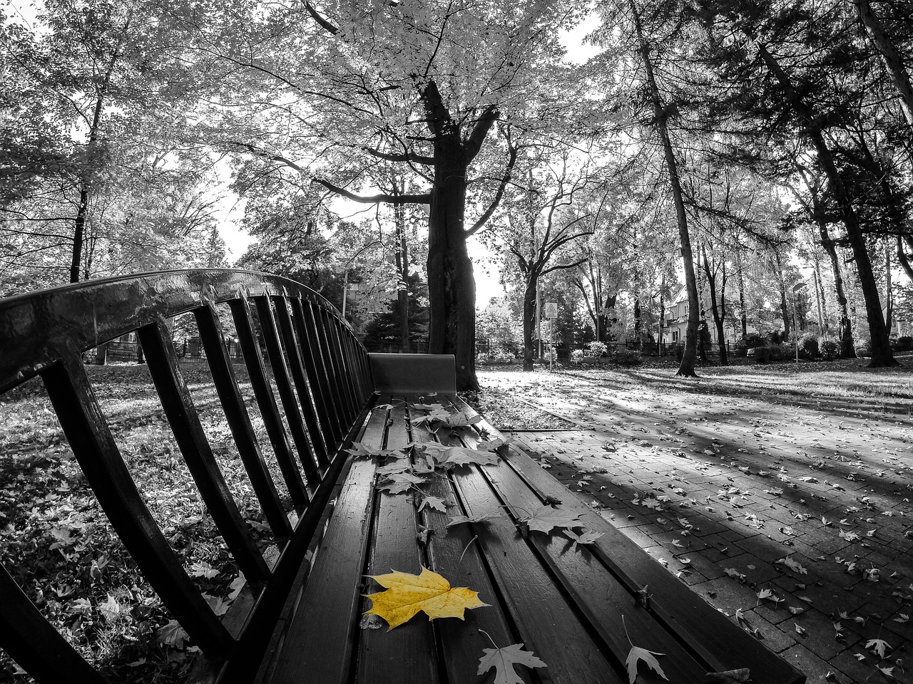 Image - bench street park trees plant