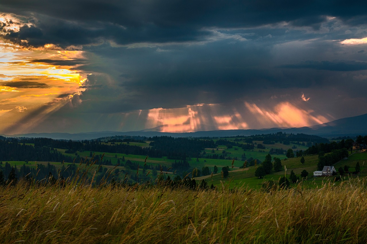 Image - highland green grass field nature