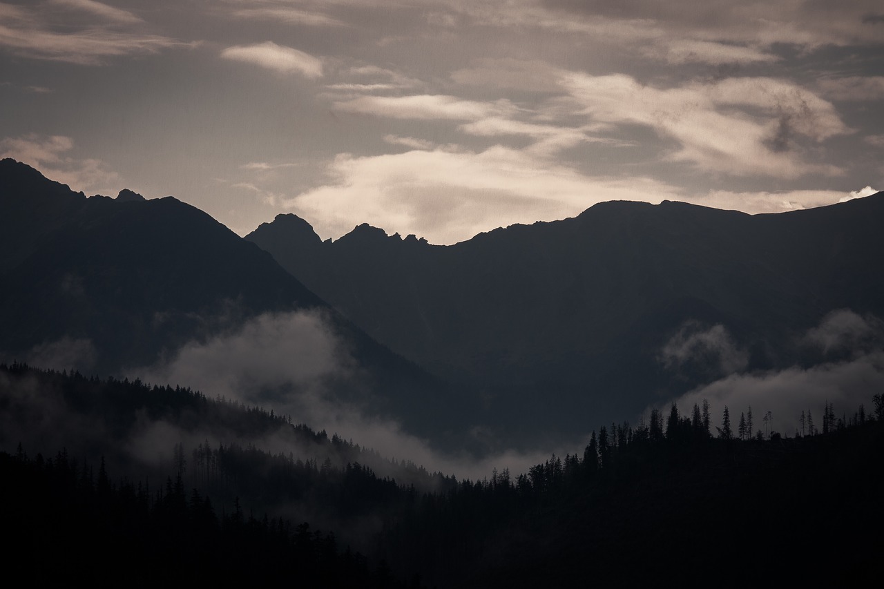 Image - dark mountain trees plant sky