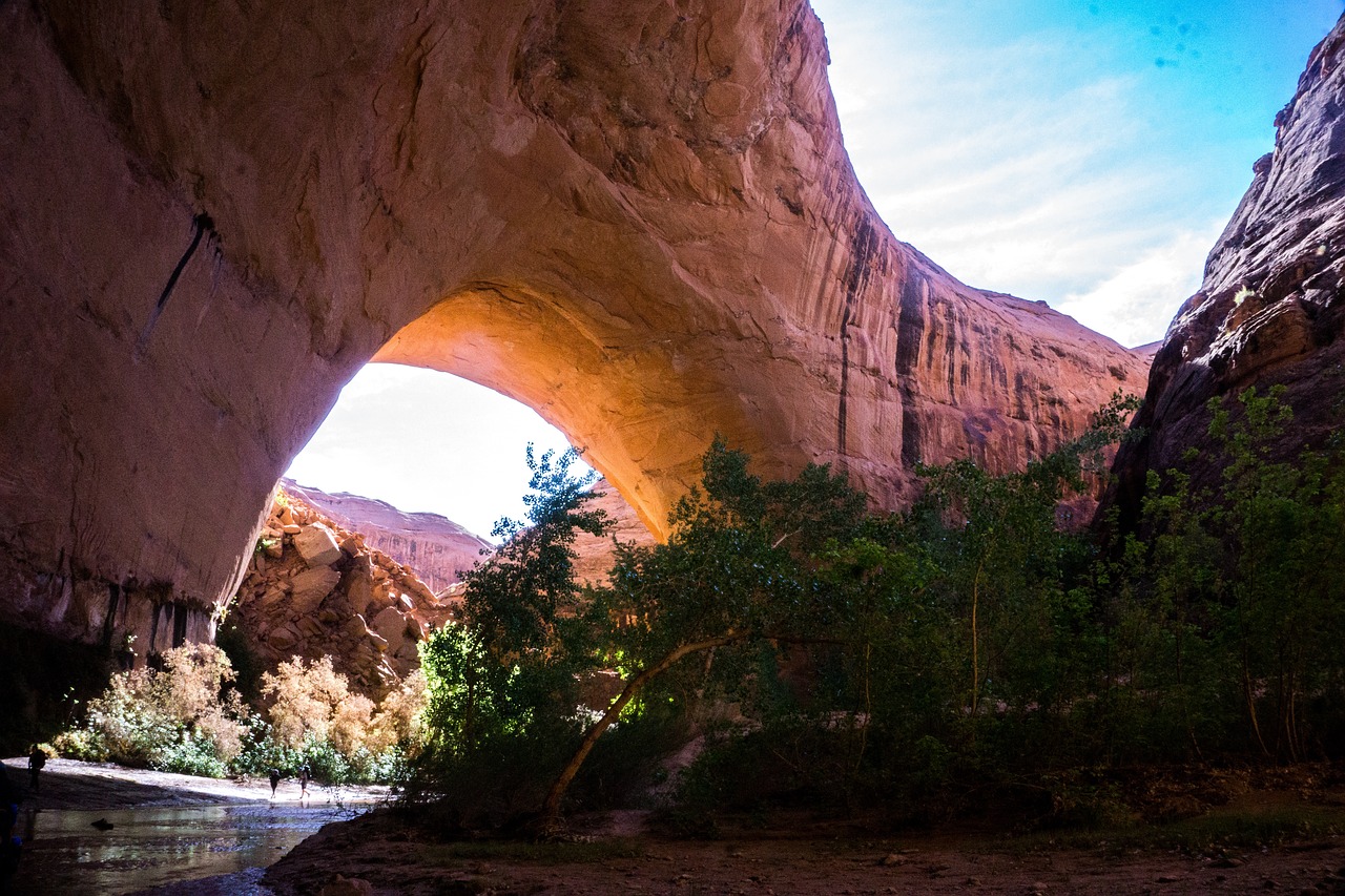 Image - arch park nature landscape trees