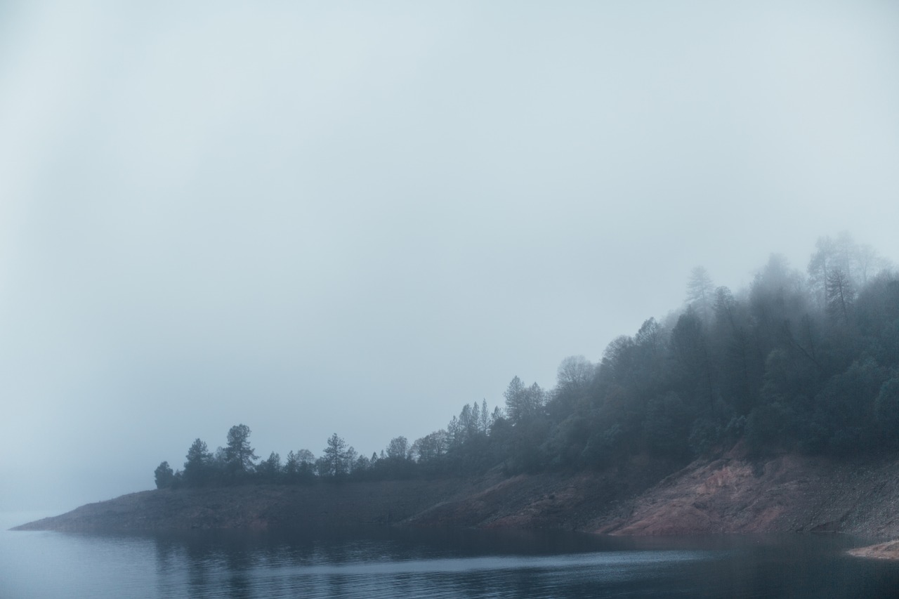 Image - lake water landscape trees plants