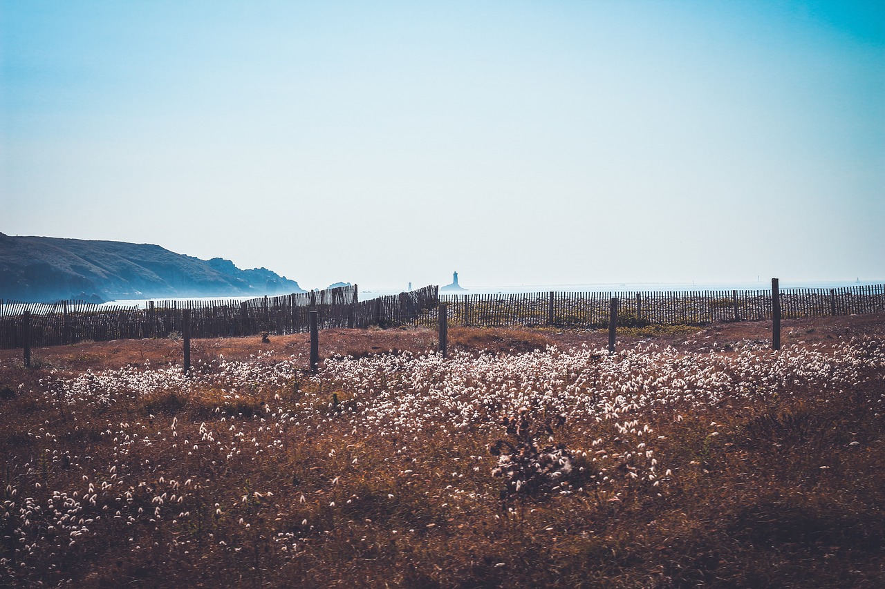 Image - sea ocean water fence grass