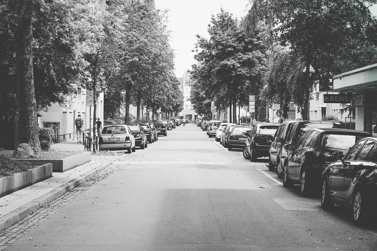 Image - black and white trees plant car