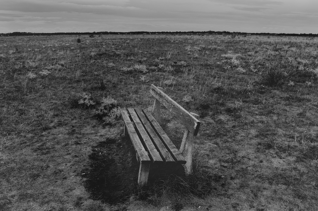 Image - black and white bench grass relax