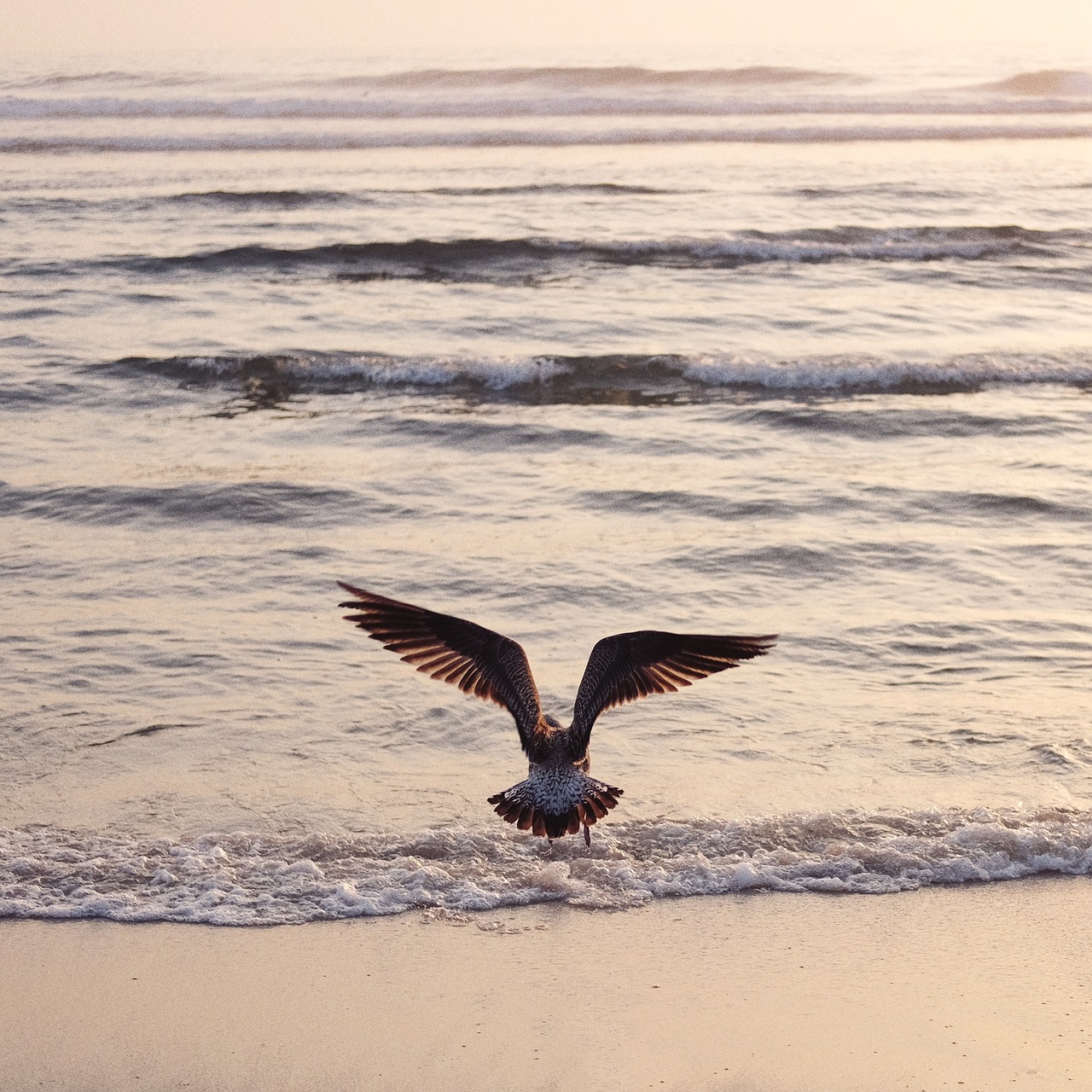 Image - sea ocean water waves nature