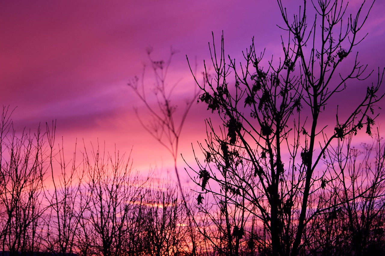 Image - dark sunset purple clouds sky