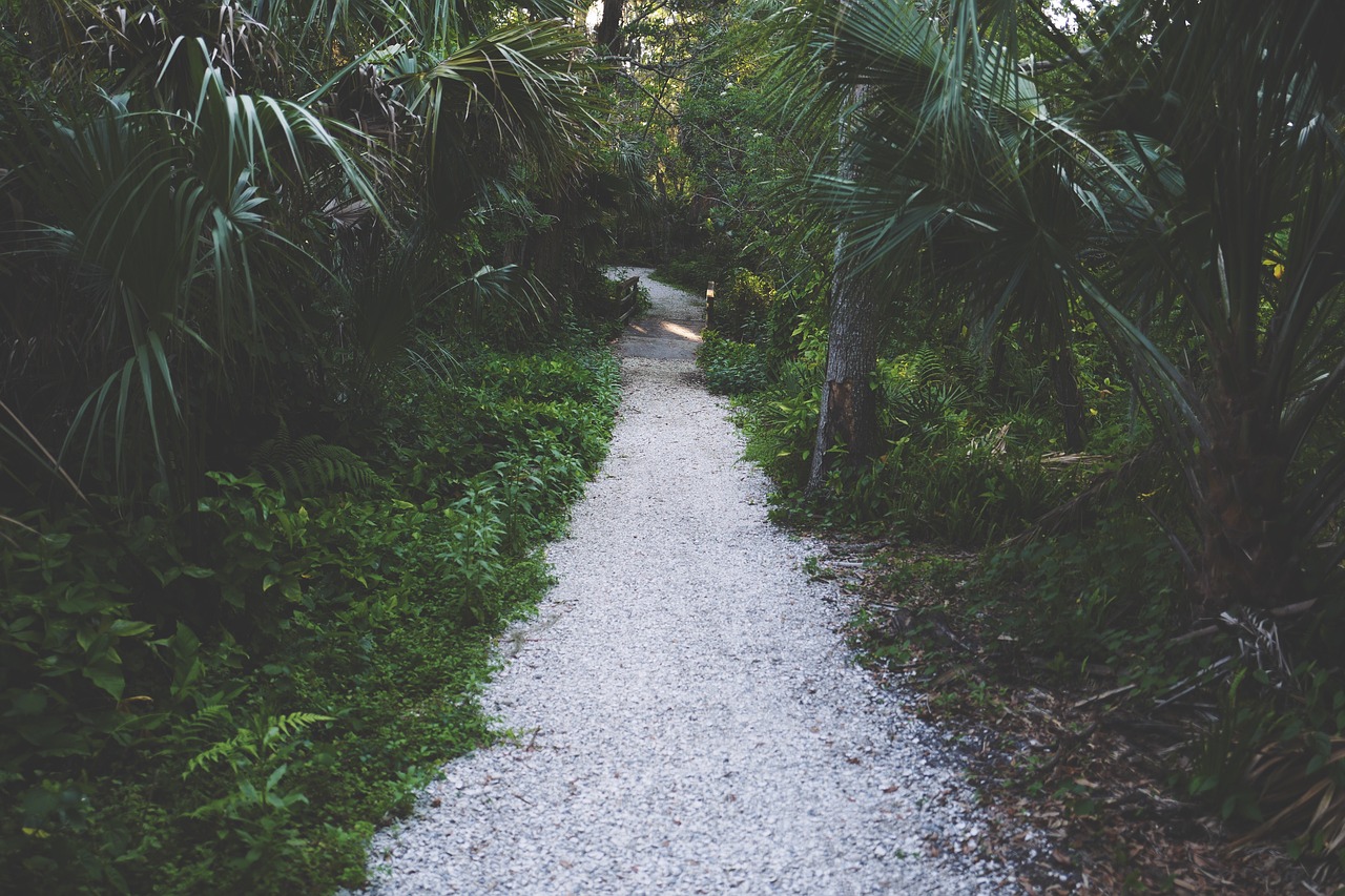 Image - green plants nature trees grass