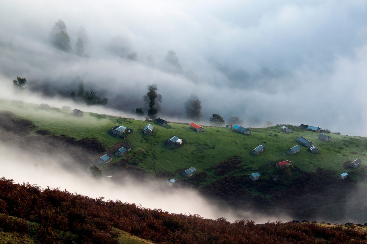 Image - highland landscape nature green