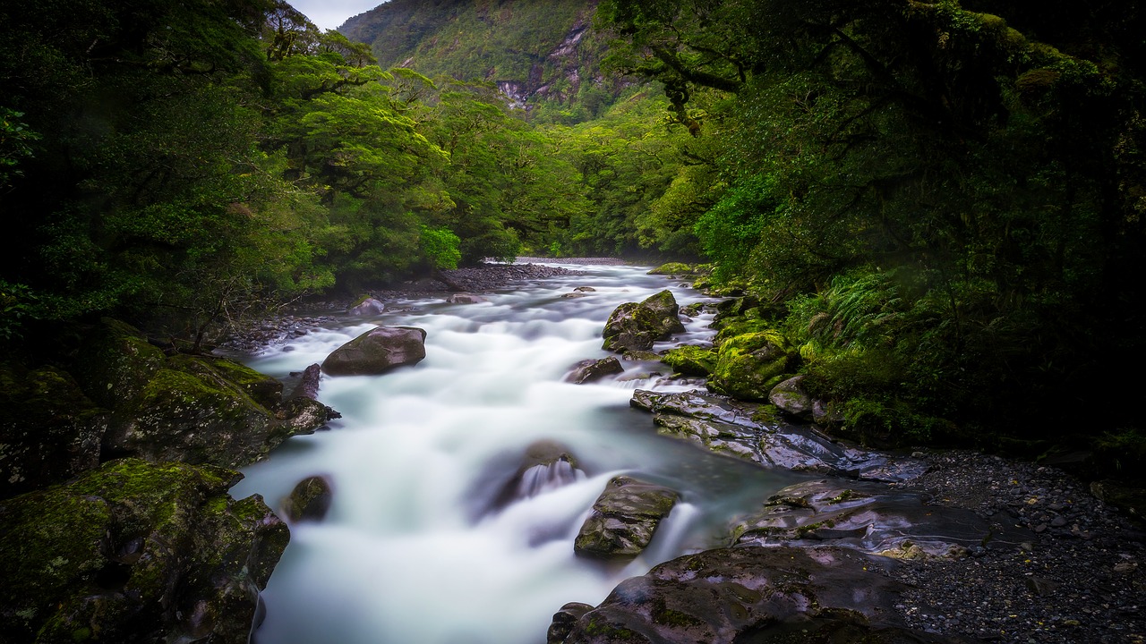 Image - stream water rocks moss grass