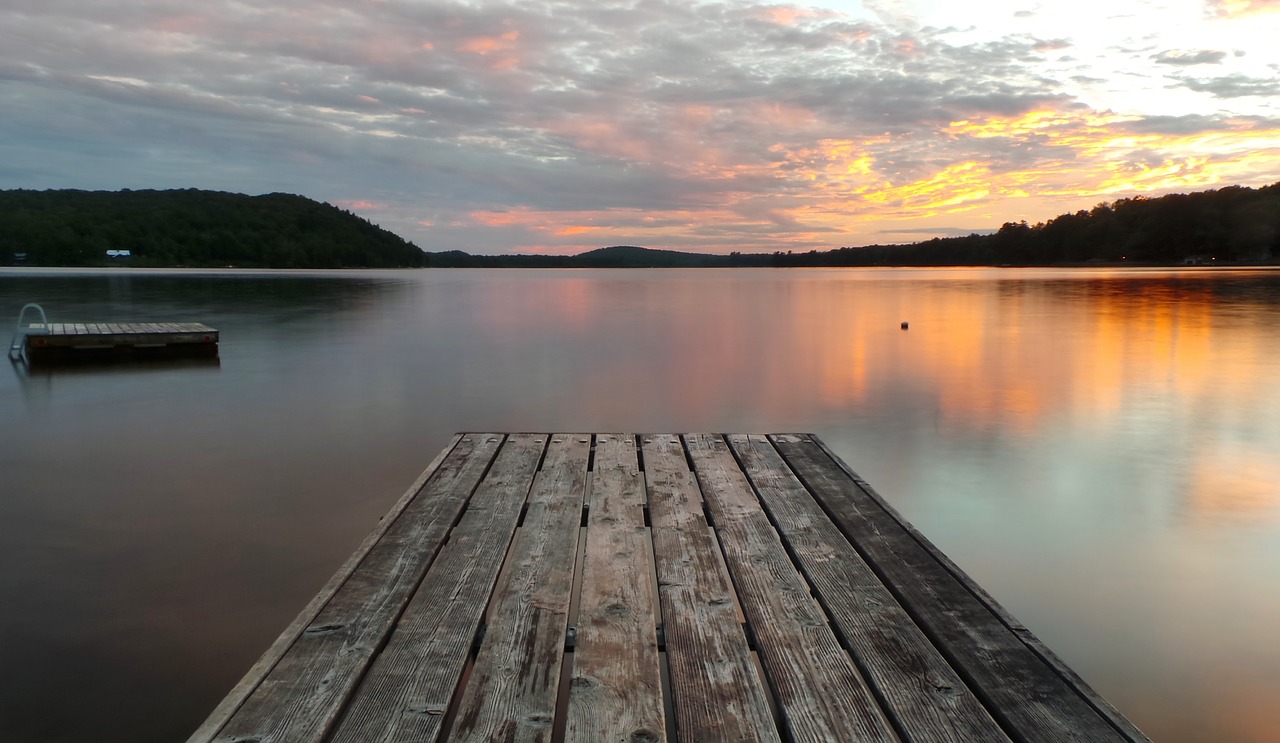 Image - wood lake water dark sunset