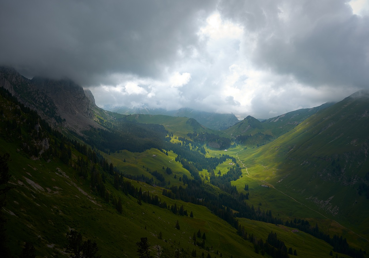 Image - highland green grass landscape