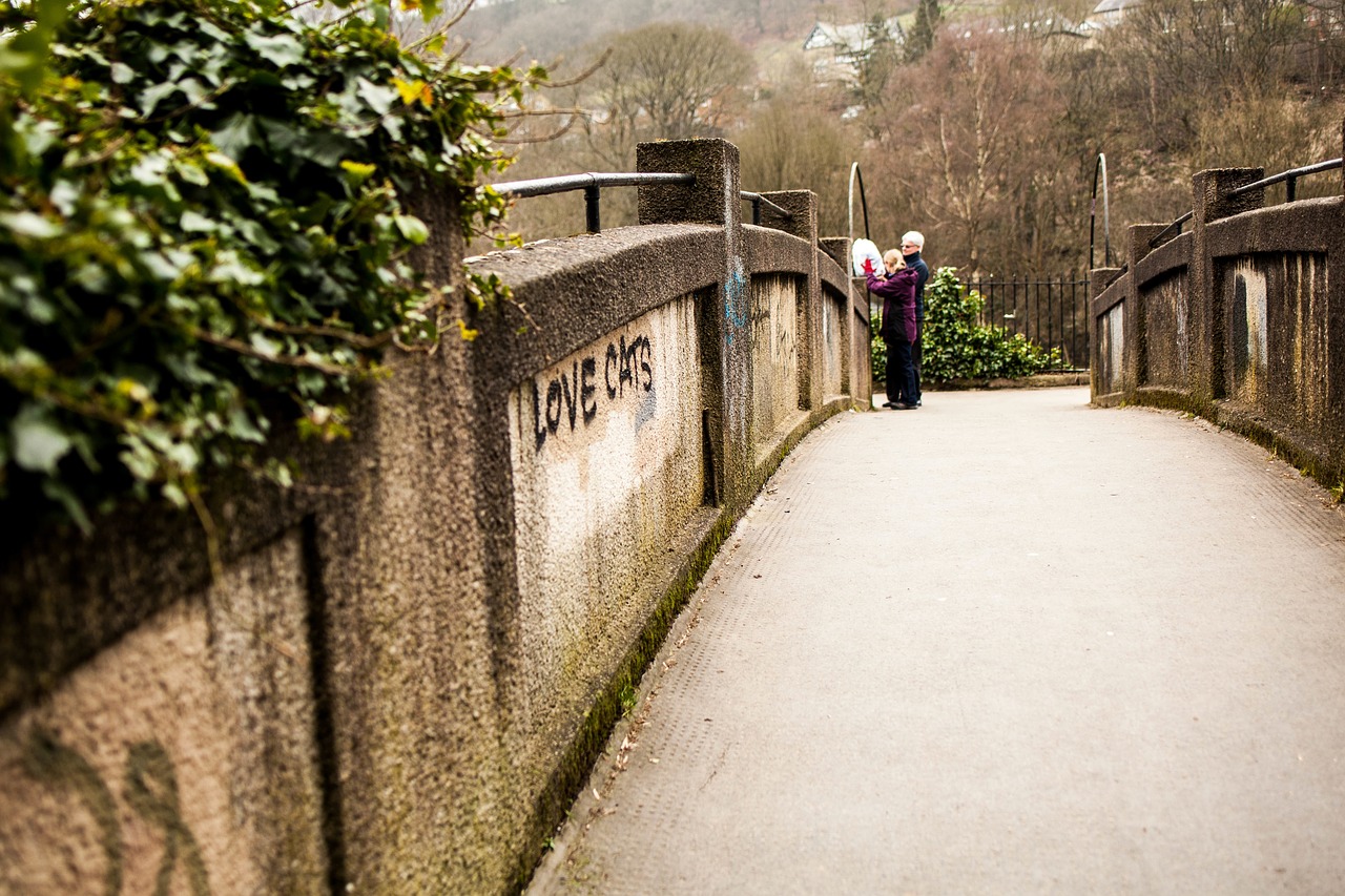 Image - trees plant bridge wall path