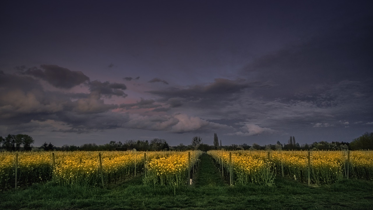 Image - sky clouds dark agriculture