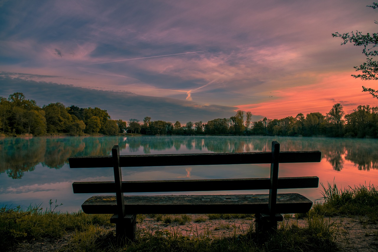 Image - trees plant clouds sky lake water