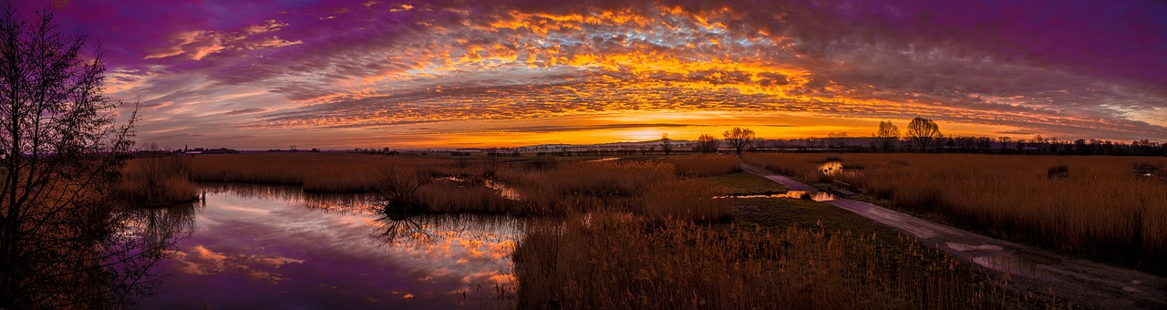 Image - sunset clouds grass lake water