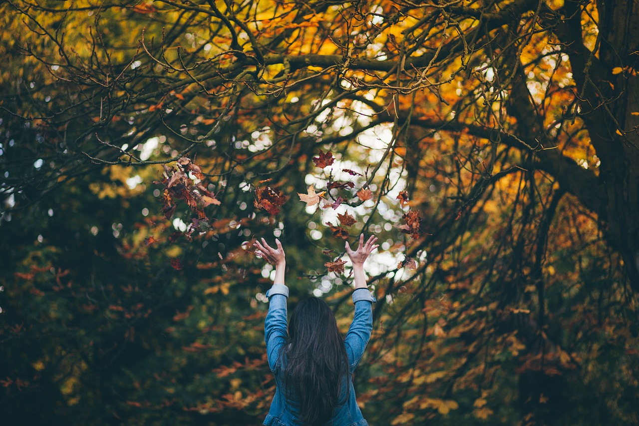 Image - people woman girl tree plant