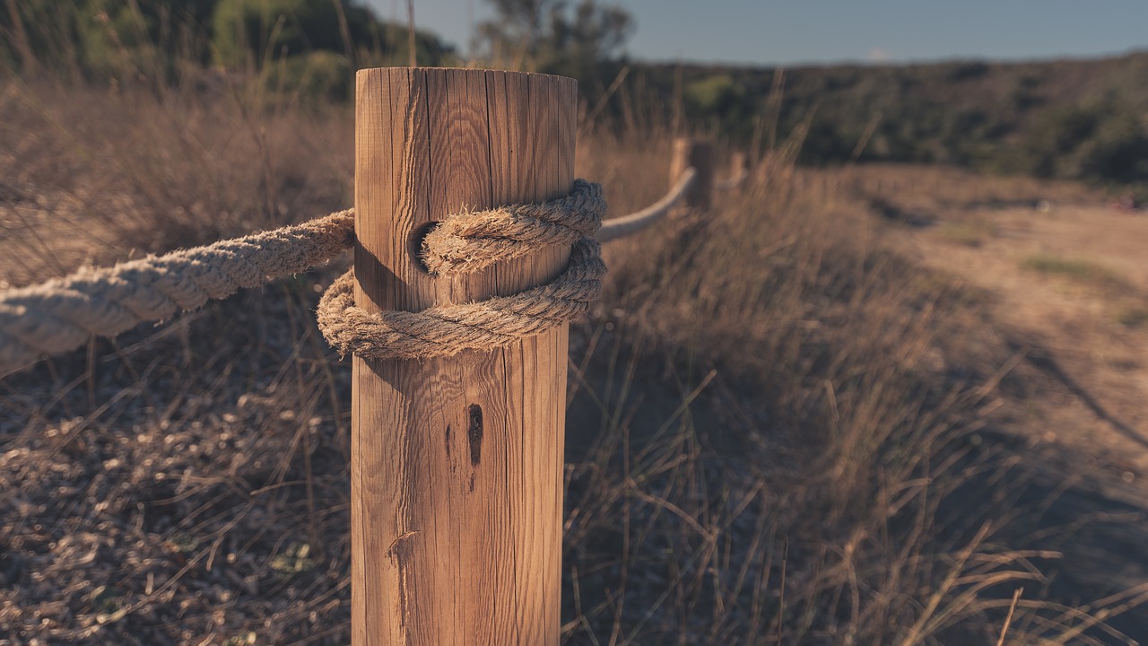 Image - sunny day grass field rope