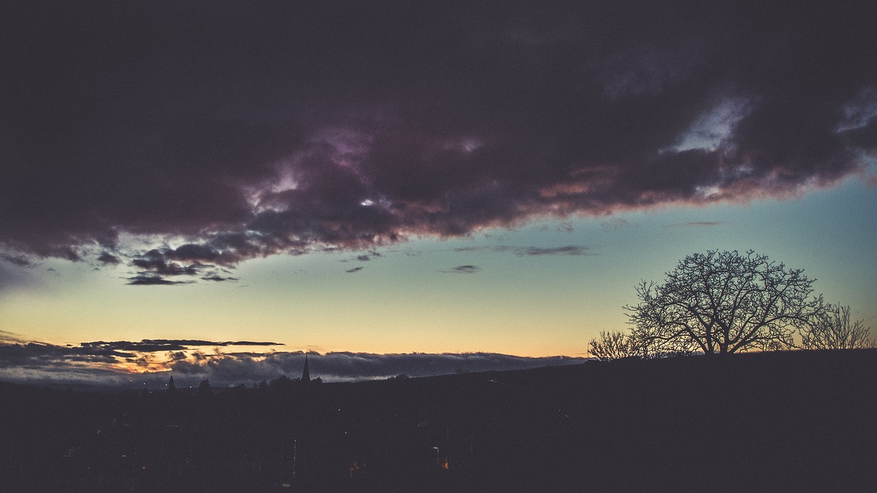 Image - dark clouds sky sunset tree plant