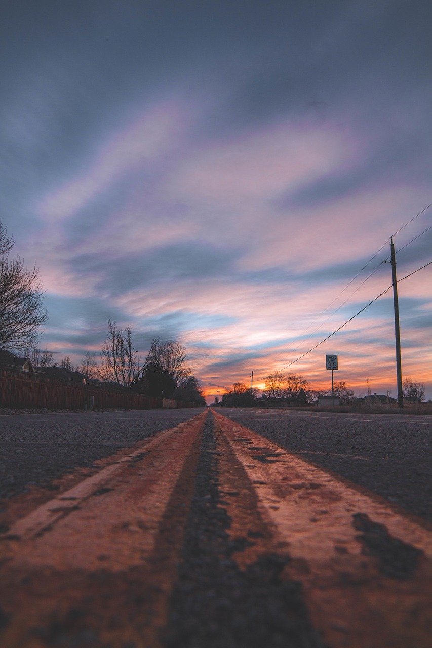 Image - road street trees plants sky