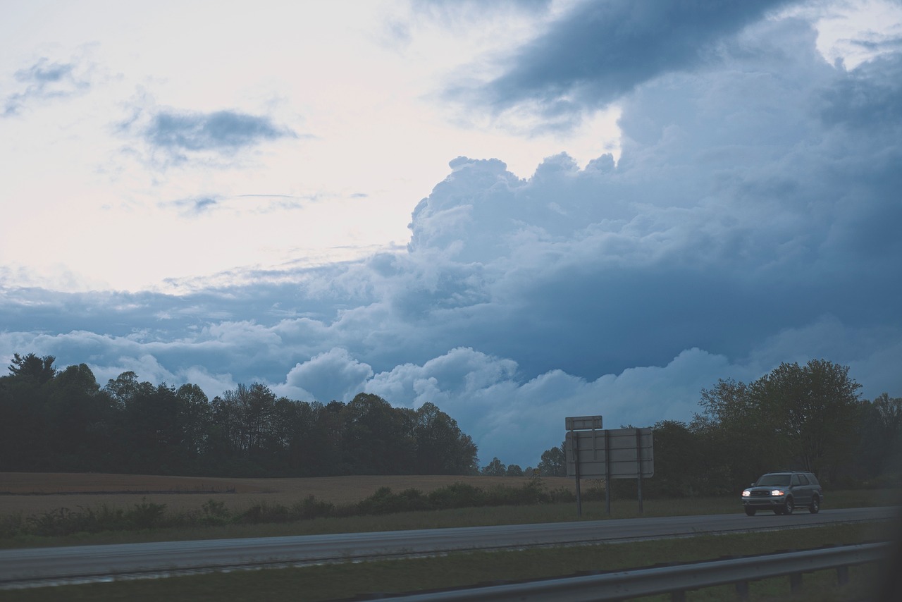 Image - sky clouds trees plant nature