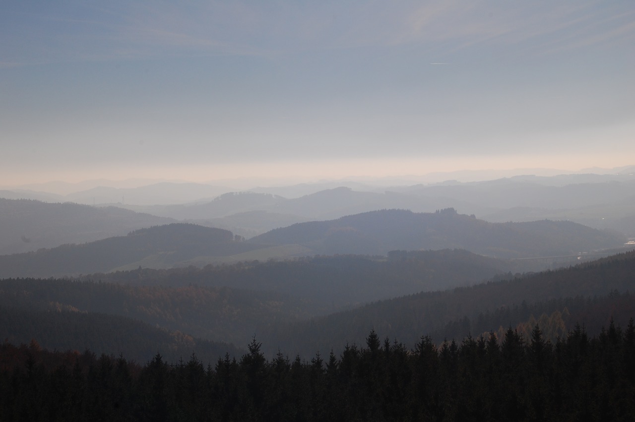 Image - sauerland forest germany nature