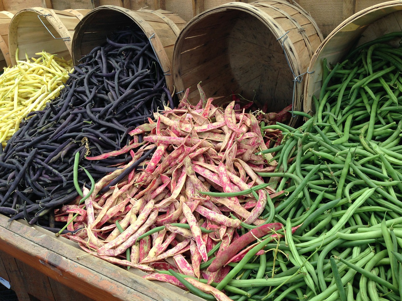 Image - beans leguminous plants legumes
