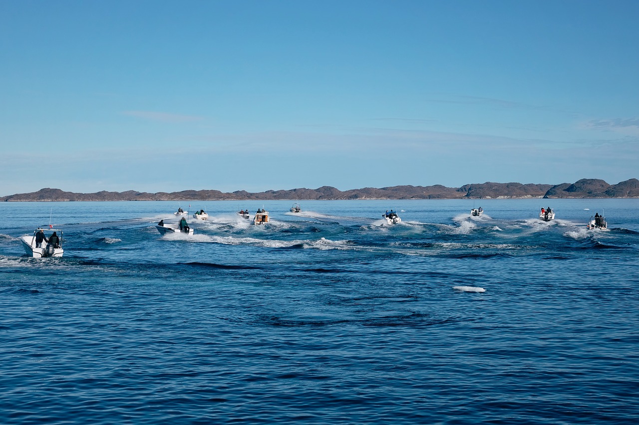 Image - people men boat sailing sport