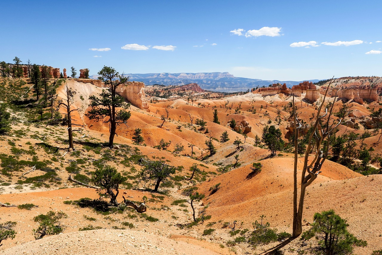 Image - bryce canyon national usa park