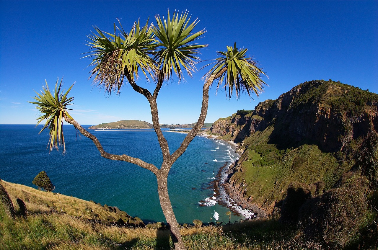 Image - blue sky coast sea ocean water