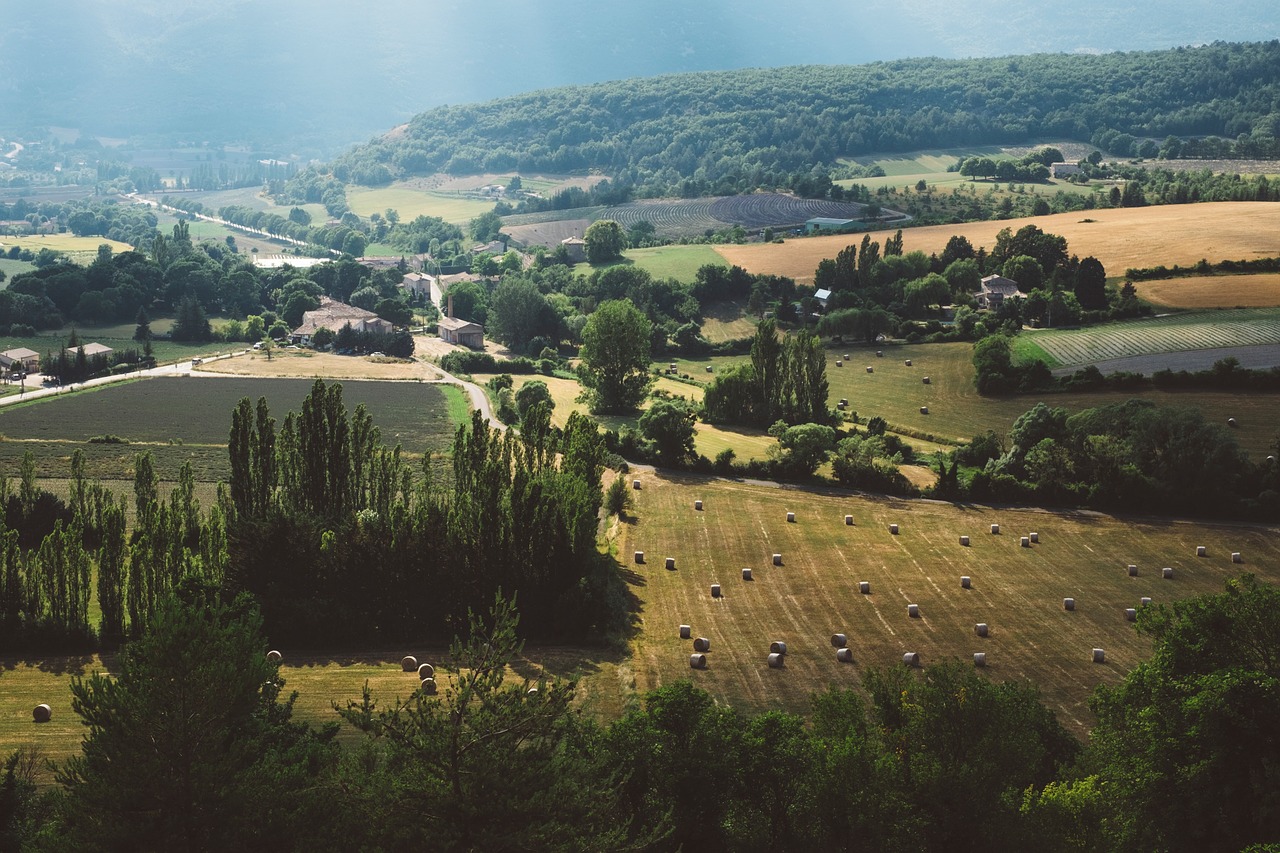 Image - green grass plant trees field